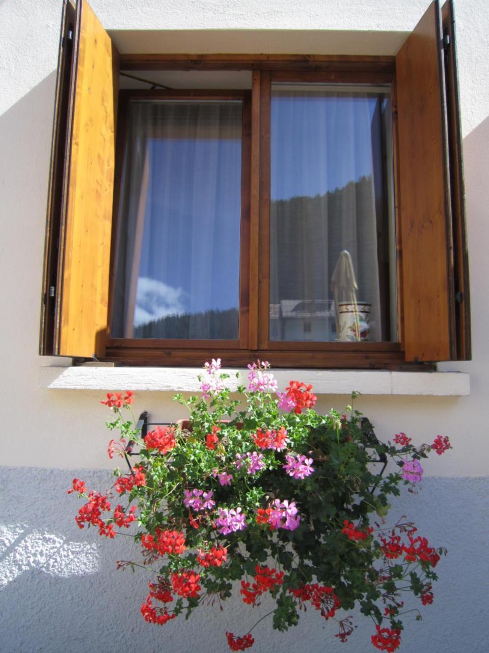 Casa Alpina Sacro Cuore Canale d'Agordo Ngoại thất bức ảnh